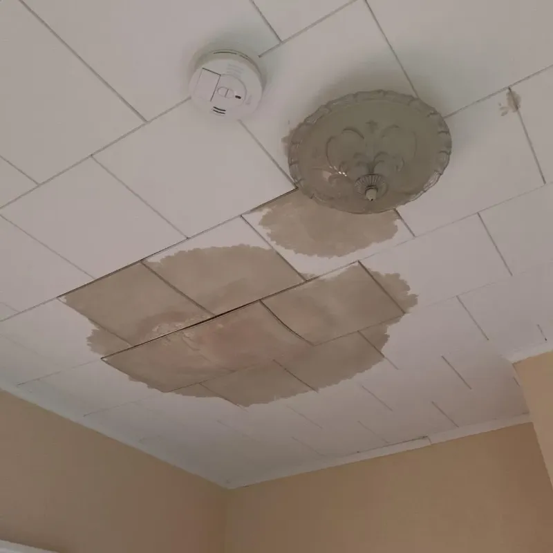 Ceiling Water Damage Repair in Guilford Center, CT