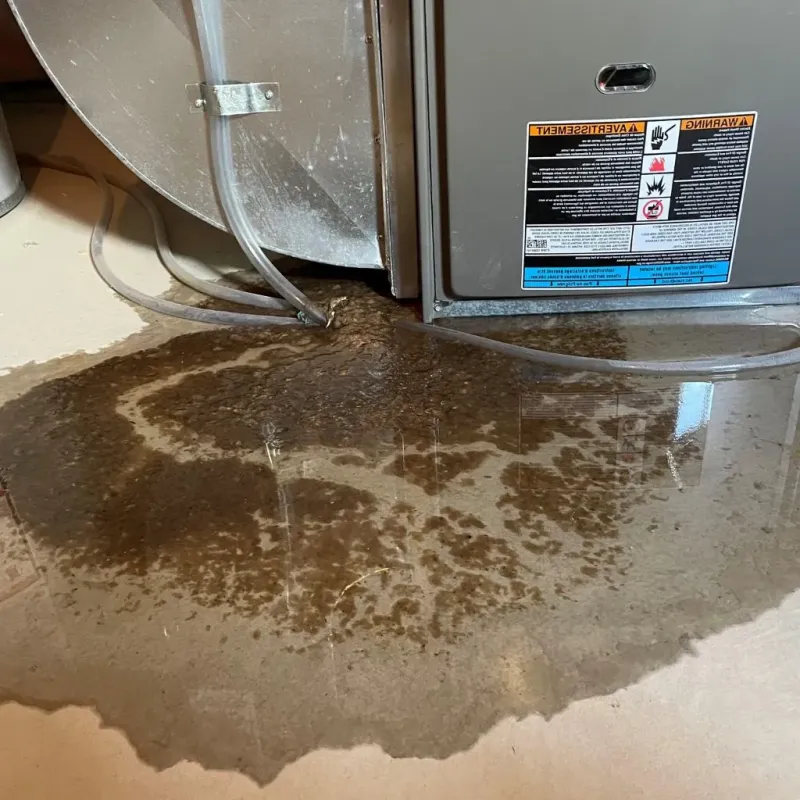 Pipe Burst and Leak Restoration in Guilford Center, CT